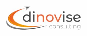 dinovise_consulting_Logo Kopie