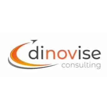 dinovise_consulting_Logo-Kopie